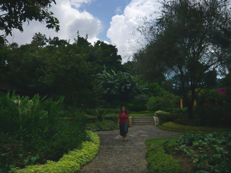 P1000691.JPG - Pathway through the gardens. There were acres of grass, flowers, trees and shrubs, all manicured and cared for by a team of ever-busy gardners.