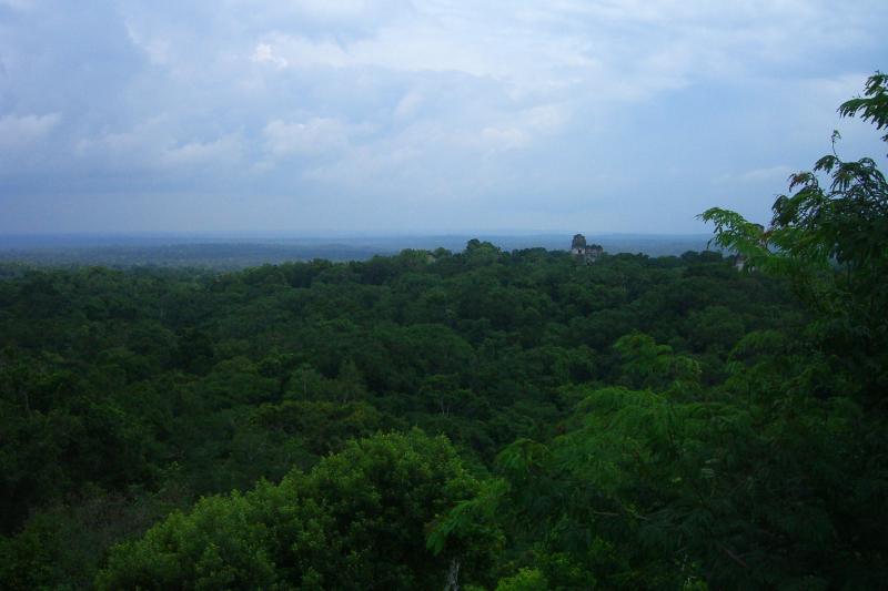 CIMG5114.JPG - Off in the distance, a Mayan structure looms over the jungle.