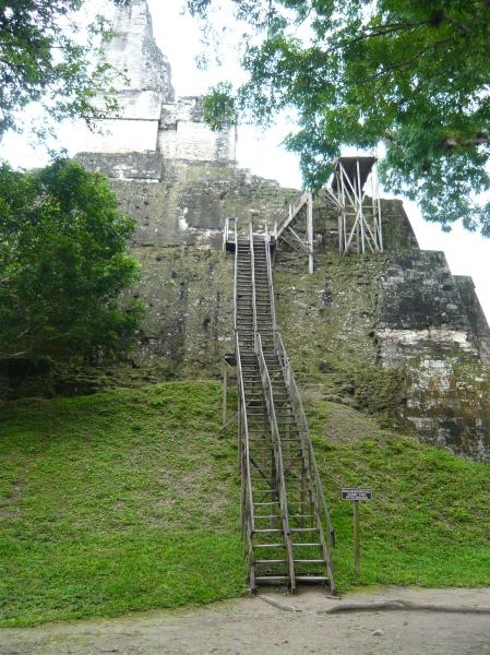 P1000841.JPG - These stairs are the only real way to get to the top.