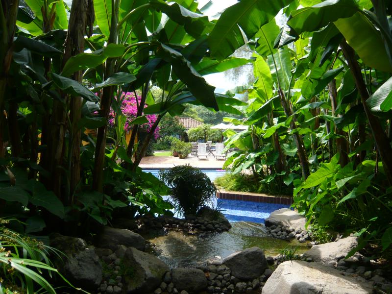 P1000687.JPG - There was a little stream that fed the pool that ran through the tropical growth.