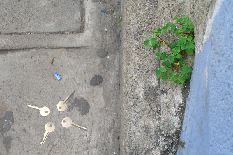 CIMG5155.JPG - We saw a few places where keys or coins had been buried in the concrete when ut had been layed. Curious.