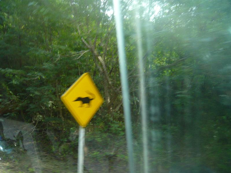 P1000788.JPG - This sign was seen on the jungle road from Flores to Tikal.