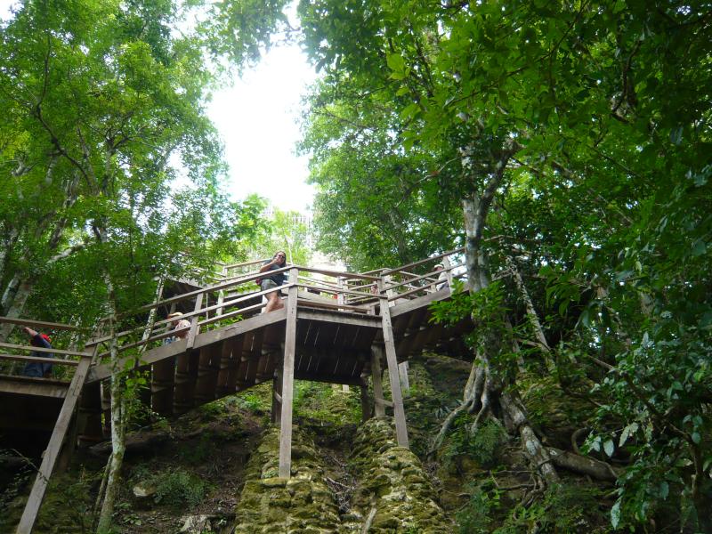 P1000847.JPG - Colleen climbing up through the trees.
