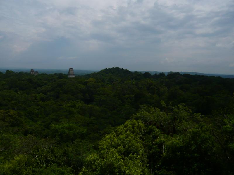 P1000850.JPG - Another view of the main temples against the jungle.